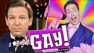 GAY  A Randy Rainbow Song Parody [upl. by Lledyr]