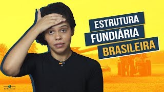 ESTRUTURA FUNDIÁRIA BRASILEIRA PARA O ENEM [upl. by Ydnyl]