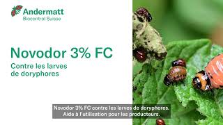 Application de Novodor 3 FC contre les larves de doryphores  Andermatt Biocontrol Suisse [upl. by Hael397]