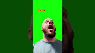 Bro song is hard greenscreen funny singing comedy sing music meme dachsund [upl. by Waly]