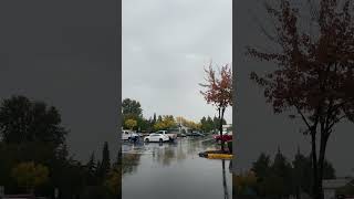 Raining in Tukwila WA [upl. by Deehahs]