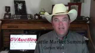 Cattle Market Summary Up amp Down Start to Fall [upl. by Pallas831]