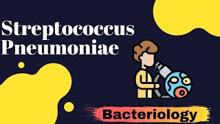 STREPTOCOCCUS PNEUMONIAE part 1 Virulence Factors and Pathogenesis Microbiology [upl. by Chandler]