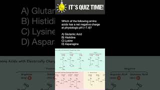 Amino acids quiz [upl. by Sansbury]