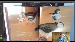 Puffling Read Aloud [upl. by Yecaw]