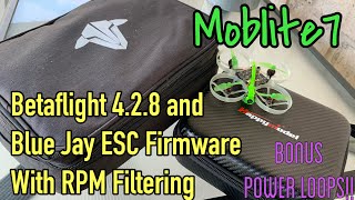 Moblite 7 Betaflight 428  Blue Jay ESC Firmware with RPM Filtering [upl. by Ahsinar]