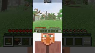 Minecraft when we will destroy bee house villager reactshorts [upl. by Ativet448]