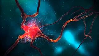 Cerebral Neurons Binaural Beats Brainwave Entrainment [upl. by Aseela]