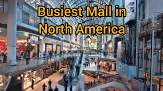 Busiest Shopping Mall In North America [upl. by Nitsirk]