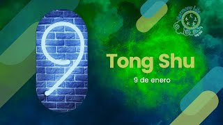 Consejos del Tong Shu para el 9 de enero Mono de Agua Yang [upl. by Cristiano797]