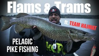 Flams amp Trams ft Team Hajmat  Pelagic Pike Fishing in Cold Water  Kanalgratisse [upl. by Allevon]