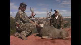 Muzzleloader Mule Deer Hunt on the Paunsaugunt  MossBack [upl. by Rather]