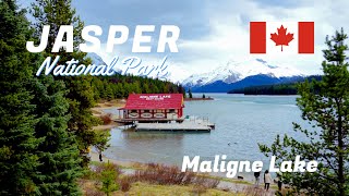 Spectacular Maligne Canyon and Lake During Spring Season  BANFF amp JASPER CANADA ROAD TRIP [upl. by Leiram550]