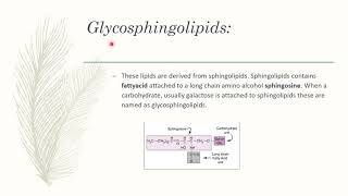 Glycolipids [upl. by Atilegna]