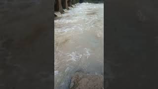 water flood  sound effect [upl. by Banks]