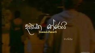 Dawasaka Therei දවසක තේරෙයිSlowedReverb [upl. by Nyl258]