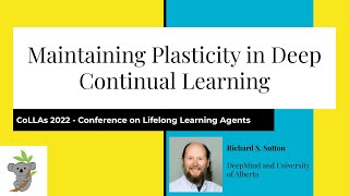 Maintaining Plasticity in Deep Continual Learning  Rich Sutton  CoLLAs 2022 [upl. by Jaf]