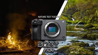 SONY FX30  Nature Day amp Night Test Footage [upl. by Tama407]