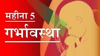 गर्भावस्था  महीना 5  Pregnancy  Hindi  Month 5  Week 18 to week 21 [upl. by Aigneis]