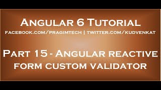Angular reactive form custom validator [upl. by Alilak]