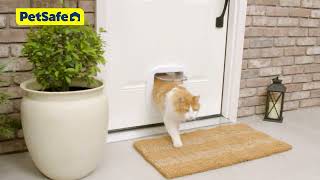 PetSafe® Big Cat Flap The Safe Choice for Curious Cats of All Sizes [upl. by Nimrak906]