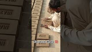 Hands bricks making brick brickshouse brickkiln kiln brickmanufacturing bricksmaking [upl. by Adel]