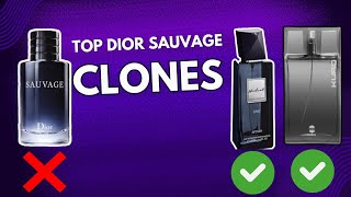 Top 10 Dior Sauvage Clone Fragrances Best Affordable Alternatives of Dior Sauvage [upl. by Awram405]