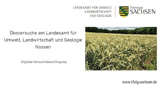 Ökoversuche am Landesamt für Umwelt Landwirtschaft und Geologie Digitale Versuchsbesichtigung [upl. by Dot]