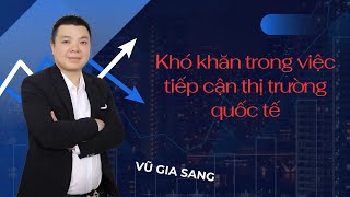 Khó khăn trong việc tiếp cận thị trường quốc tế [upl. by Namlak491]