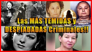 TOP 7 MUJERES Más TEMIDAS y PODEROSAS de la MAFIA [upl. by Richarda863]