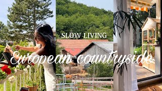 Slow living in the European countryside [upl. by Atalanta]