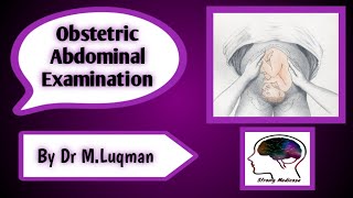 OBSTETRIC ABDOMINAL EXAMINATION  OSCE Station in hindi  Urdu [upl. by Mariken]