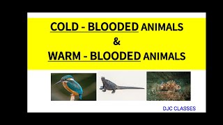 COLD  BLOODED ANIMALS amp WARM  BLOODED ANIMALS  POIKILOTHERMIC ANIMALS  HOMEOTHERMIC ANIMALS [upl. by Neila]