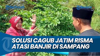 ATASI BANJIR MUSIMAN DI SAMPANG Ini Solusi Calon Gubernur Tri Rismaharini [upl. by Kenay295]