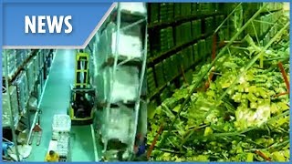 Incredible moment forklift driver causes an entire warehouse to collapse when he bumps into shelf [upl. by Irakab]