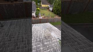 Washing a roof with oxygen bleach [upl. by Sherfield]