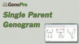 Single Parent Genogram in GenoPro [upl. by Stout221]