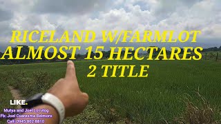 vlog 523 RICELAND WFARMLOT IN SAN QUINTIN PANGASINAN149980 SQM 2 TITLE [upl. by Falcone]