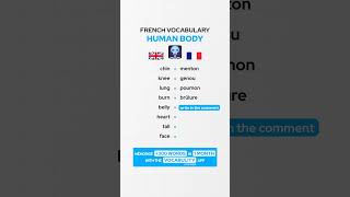 Human Body French Vocabulary 🇫🇷 [upl. by Refotsirk279]