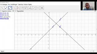 Matematik B  51b Den lineære funktion i Geogebra [upl. by Egwin]