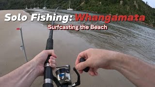 Surfcasting off Whangamata Beach with Sabiki Rigs and caught THESE [upl. by Aelrac]