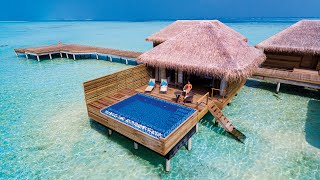 Cocoon Maldives  Lagoon Suite Pool [upl. by Christiansen824]