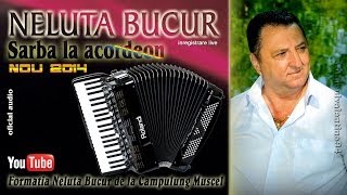 NELUTA BUCUR  Sarba la acordeon 1 live audio [upl. by Acnairb]