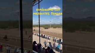 Hipódromo Los Mezquites caballos horseracing carreras [upl. by Bunni]