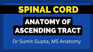 ASCENDING TRACTS OF SPINAL CORD An Overview [upl. by Rad]