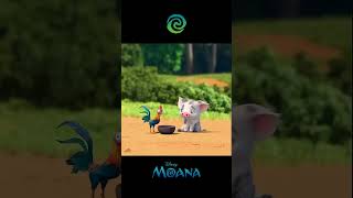 Moana  PuaI amp heihei Shot Process shorts youtubeshorts viral trending trend trendingshorts [upl. by Yellac]