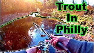 Fall Creek Fishing For Wild Trout In Philadelphia Pennsylvania [upl. by Nyberg]