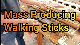 Mass Producing Walking Sticks [upl. by Carlotta]