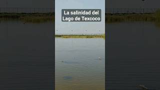 La salinidad del Lago de Texcoco [upl. by Olathe]