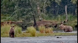 11 Sep 2024 719 passes her daughter 519 at the oxbow exploreorg [upl. by Zaob]